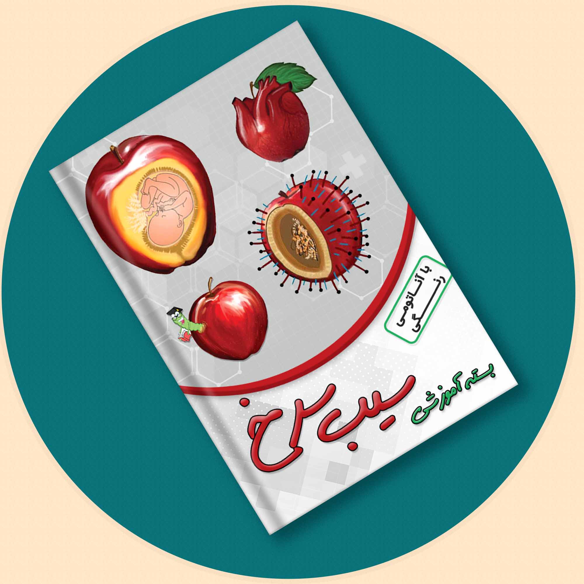 بسته آموزشی سیب سرخ با آناتومی رنگی (ریفرم)